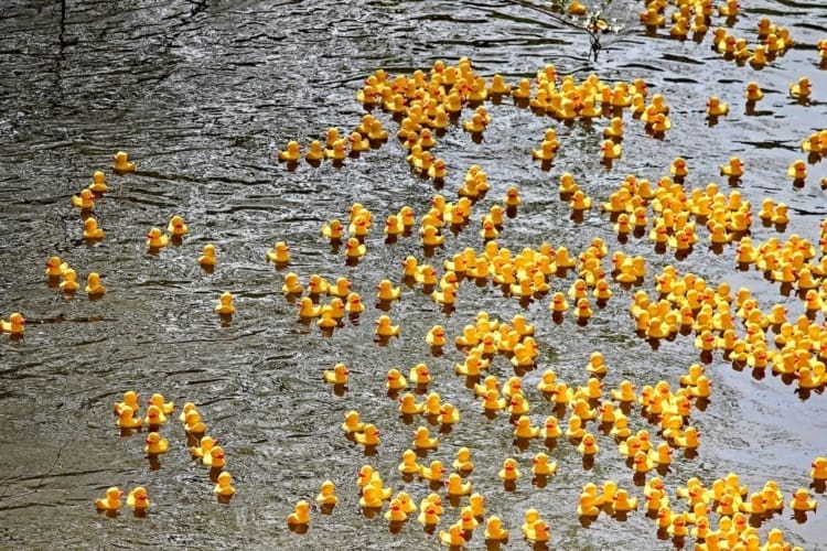 Good Password Hygiene